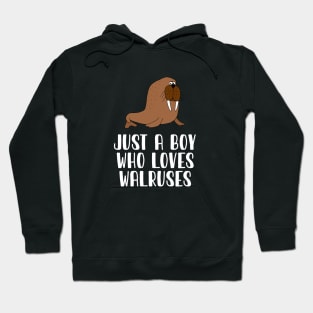Just A Boy Who Loves Walruses Hoodie